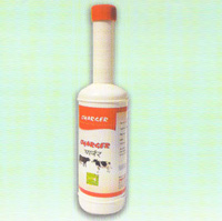 Manufacturer of Cattle Feed Supplement in India Manufacturer of Cattle Feed Supplement in India